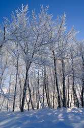 Similar image 2792479