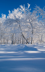 Similar image 2792480