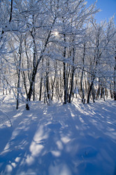 Similar image 2792484