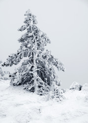 Similar image 2792485