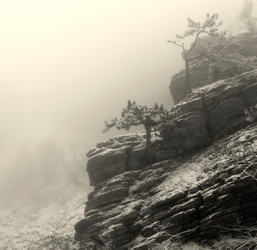 Similar image 2792488