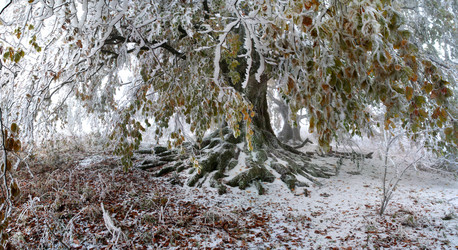 Similar image 2792491