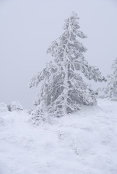 Similar image 2792497