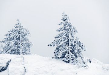 Similar image 2792498