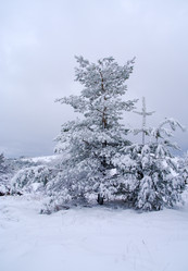 Similar image 2792500