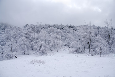 Similar image 2792502