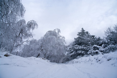 Similar image 2792503