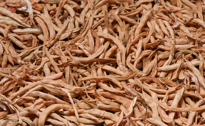 Similar image 2793763