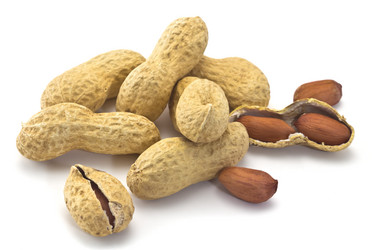 Similar image 2793781