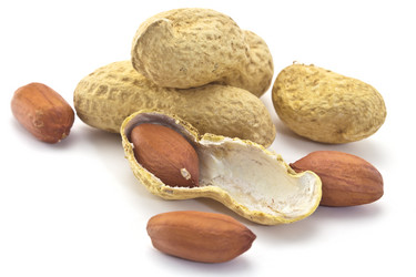 Similar image 2793783