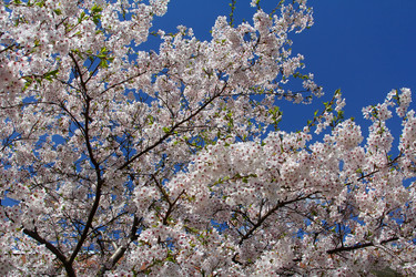 Similar image 2793785