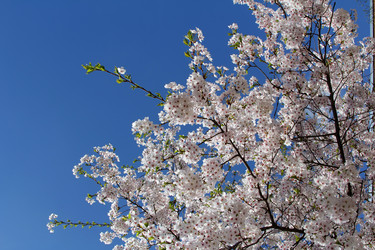 Similar image 2793786