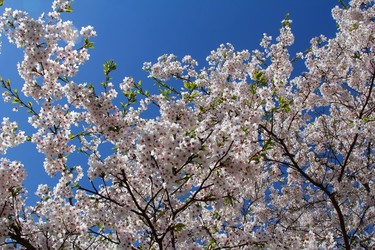 Similar image 2793787