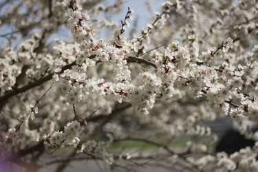 Similar image 2794012