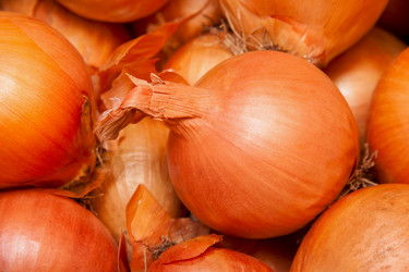 Similar image 2794152