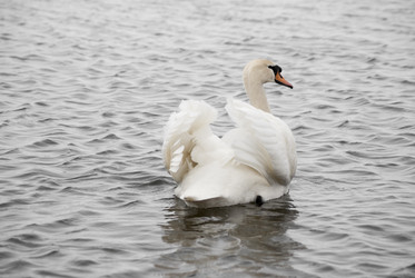 Similar image 2794172