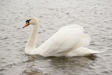 Similar image 2794176