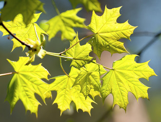 Similar image 2794177