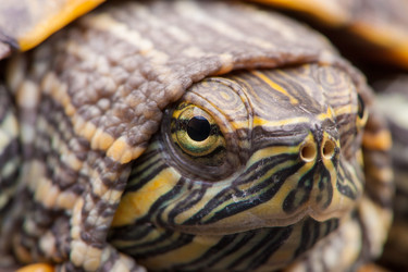 Similar image 2794189