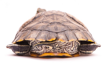 Similar image 2794190