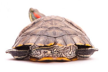 Similar image 2794191