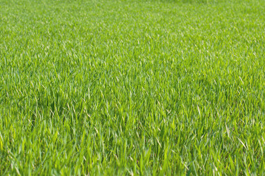 Similar image 2794193