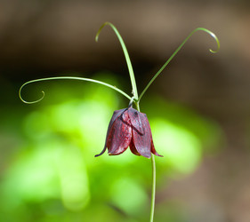 Similar image 2794194