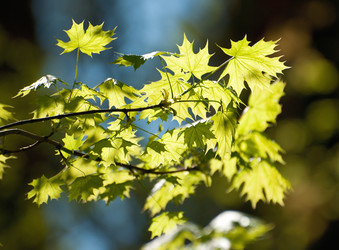 Similar image 2794195