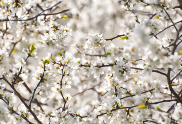 Similar image 2794196