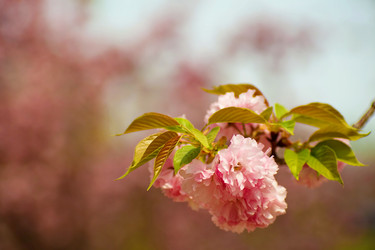 Similar image 2794199