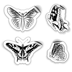 Similar image 2794235