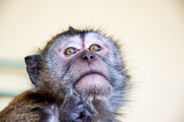 Similar image 2794253