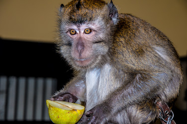 Similar image 2794254