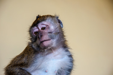 Similar image 2794255