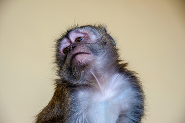 Similar image 2794256