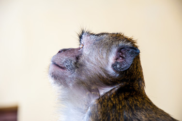 Similar image 2794257