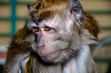 Similar image 2794259