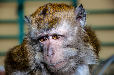 Similar image 2794260