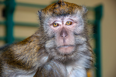 Similar image 2794261