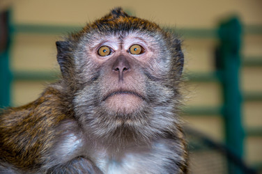 Similar image 2794262