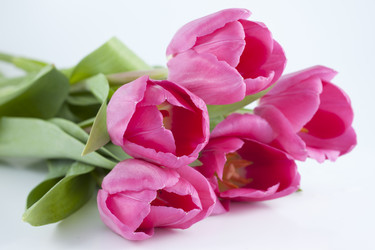 Similar image 2794284