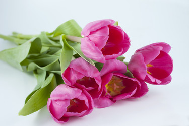 Similar image 2794285