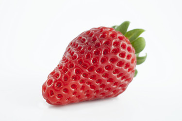 Similar image 2794286