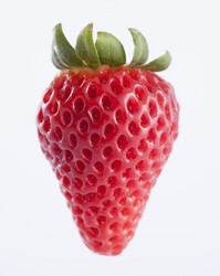 Similar image 2794287