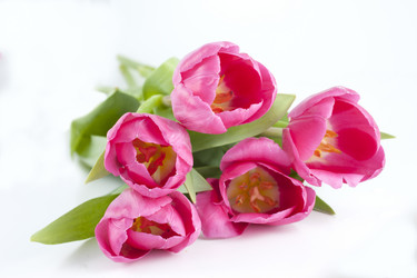 Similar image 2794288