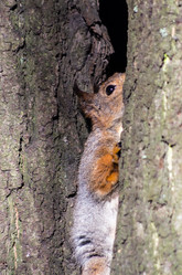 Similar image 2794303