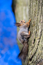 Similar image 2794307