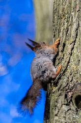 Similar image 2794308