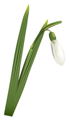 Similar image 2794460