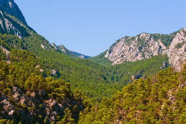 Similar image 2795330